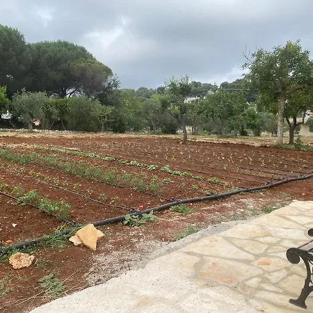 בית נופש Trulli Don Michele סלבה די פאסנו